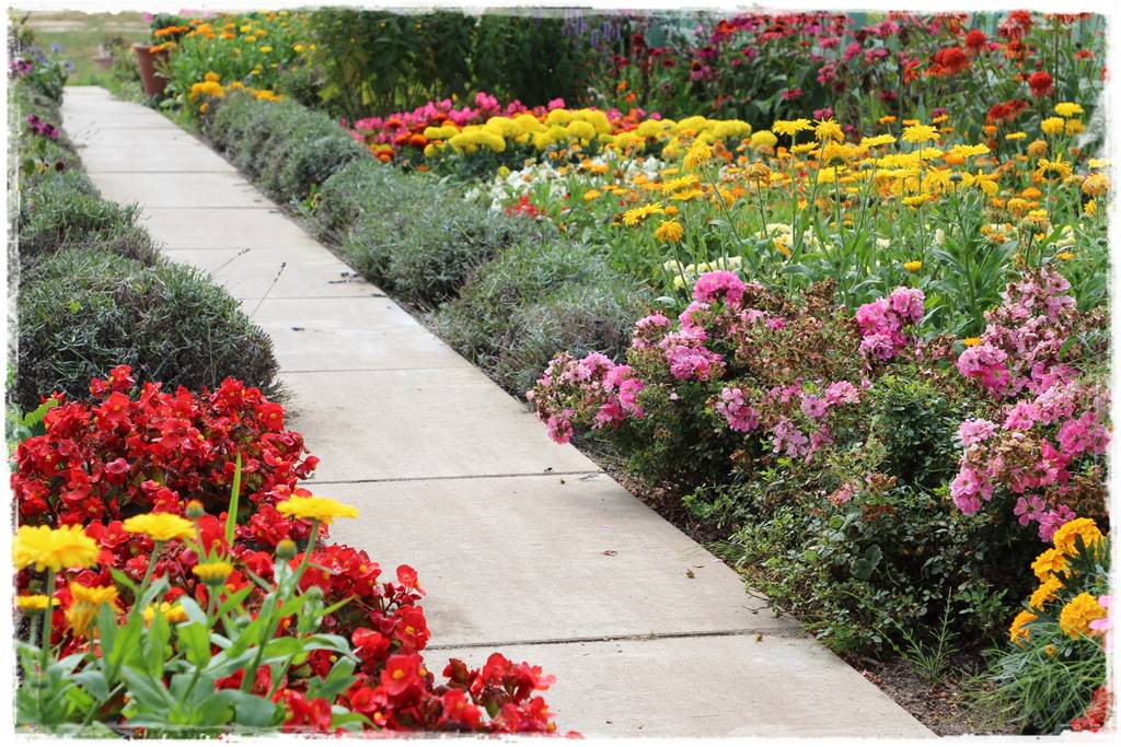 Beton w ogrodzie 4e