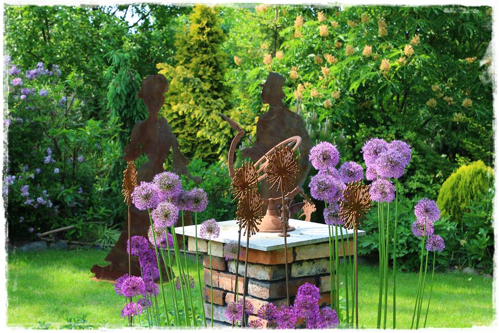 Czosnek ozdobny na rabacie 30 Czosnek ozdobny na rabacie 30