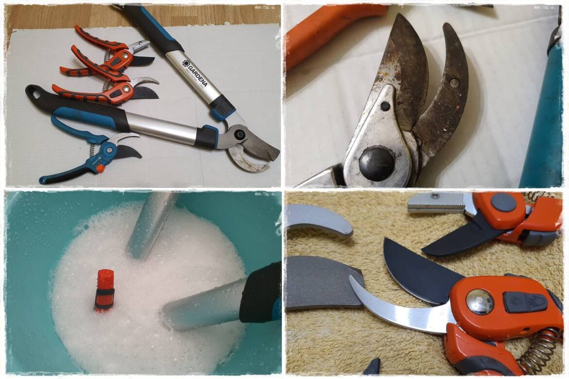 Jak wyczyścić i odkazić narzędzia ogrodnicze 0