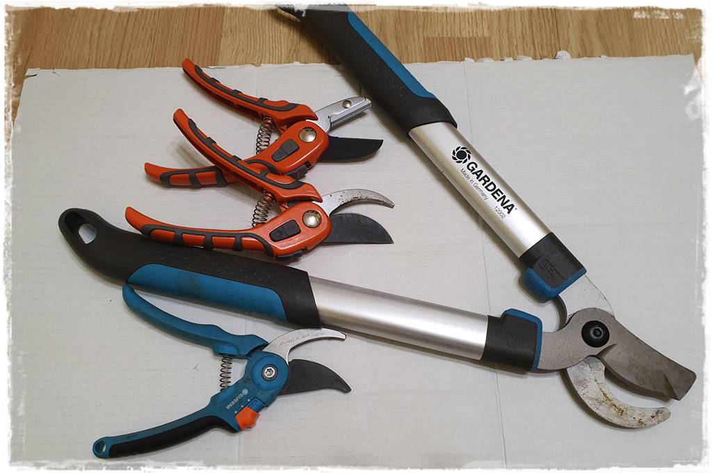 Jak wyczyścić i odkazić narzędzia ogrodnicze 1