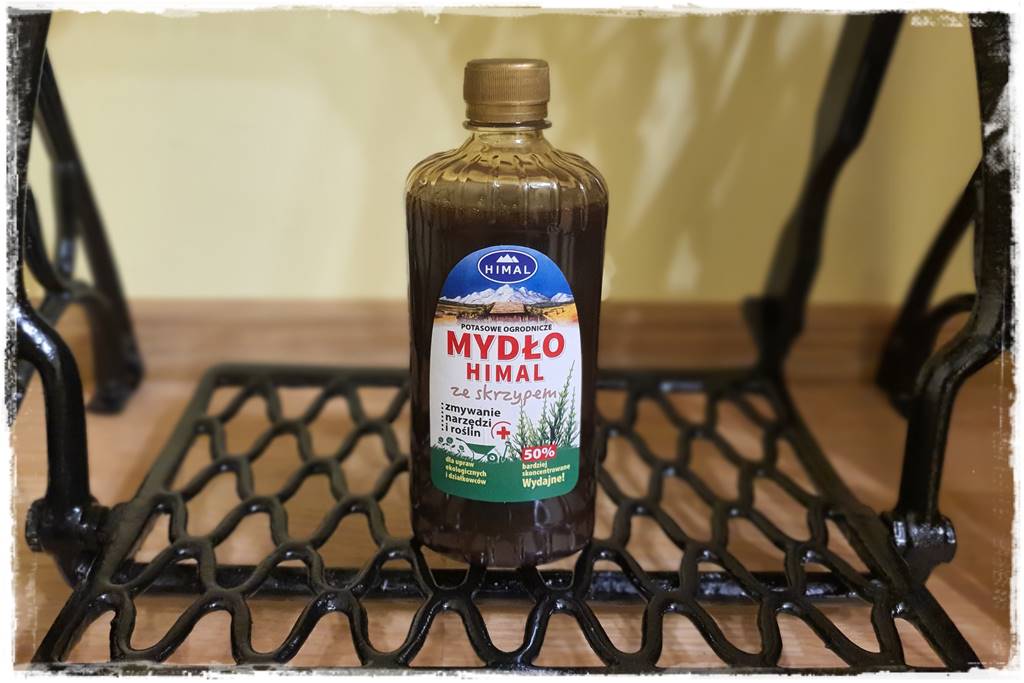 Jak wyczyścić i odkazić narzędzia ogrodnicze 10