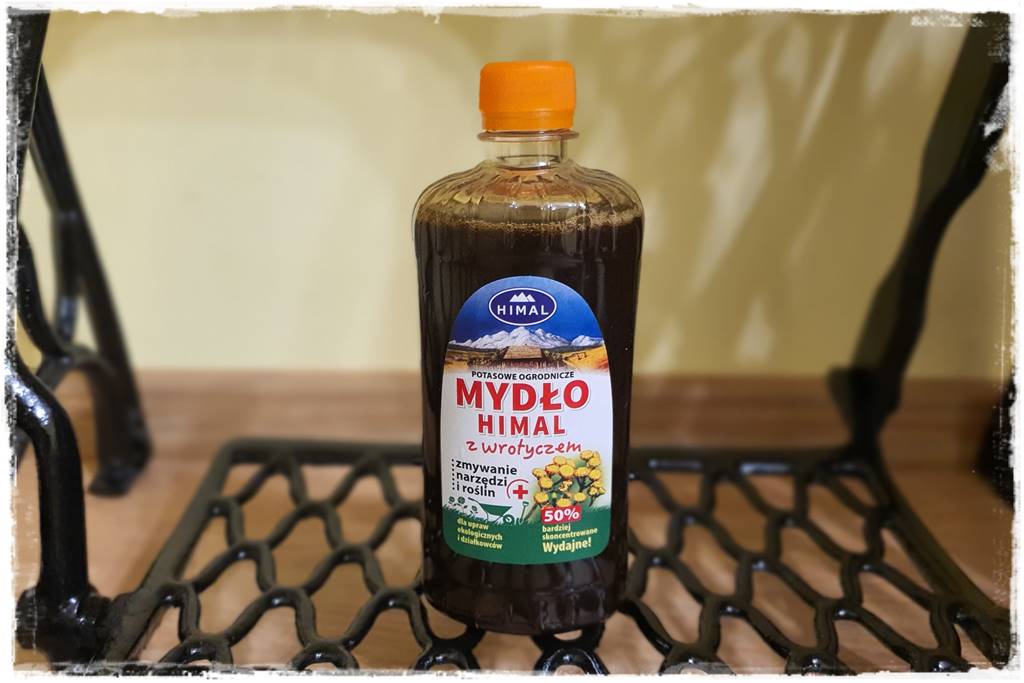 Jak wyczyścić i odkazić narzędzia ogrodnicze 11 Jak wyczyścić i odkazić narzędzia ogrodnicze 11