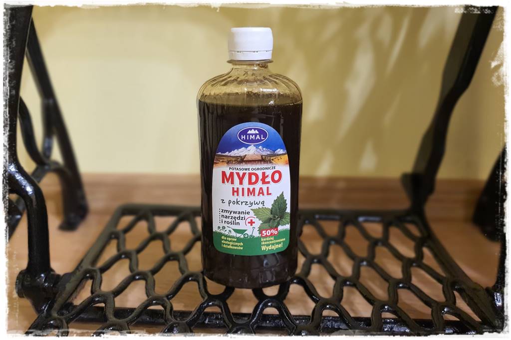 Jak wyczyścić i odkazić narzędzia ogrodnicze 13 Jak wyczyścić i odkazić narzędzia ogrodnicze 13