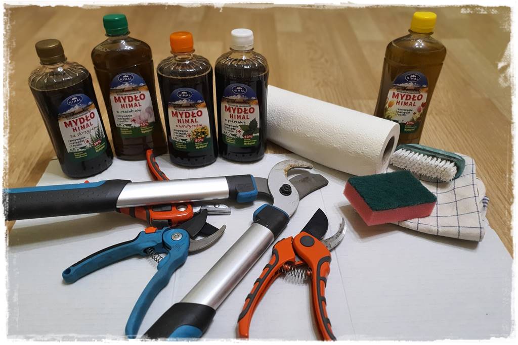 Jak wyczyścić i odkazić narzędzia ogrodnicze 16