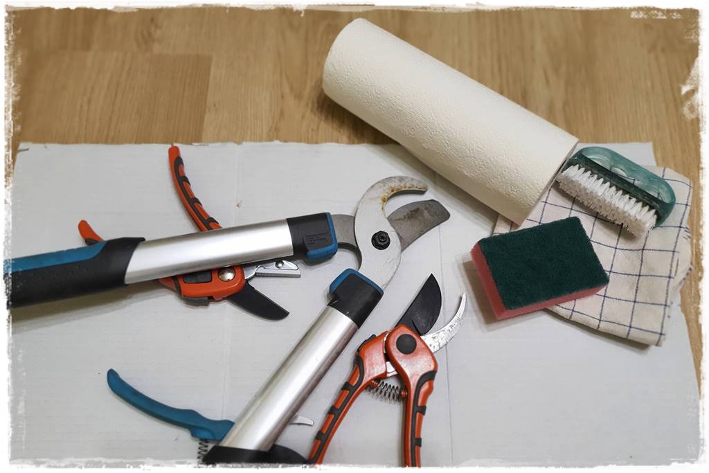 Jak wyczyścić i odkazić narzędzia ogrodnicze 17 Jak wyczyścić i odkazić narzędzia ogrodnicze 17