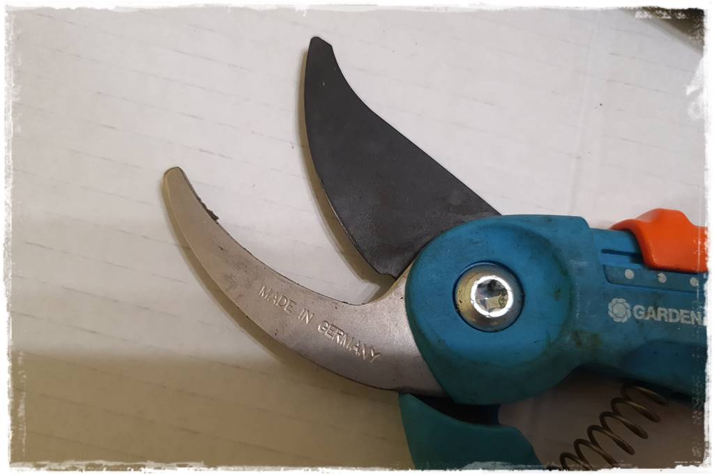 Jak wyczyścić i odkazić narzędzia ogrodnicze 18 Jak wyczyścić i odkazić narzędzia ogrodnicze 18