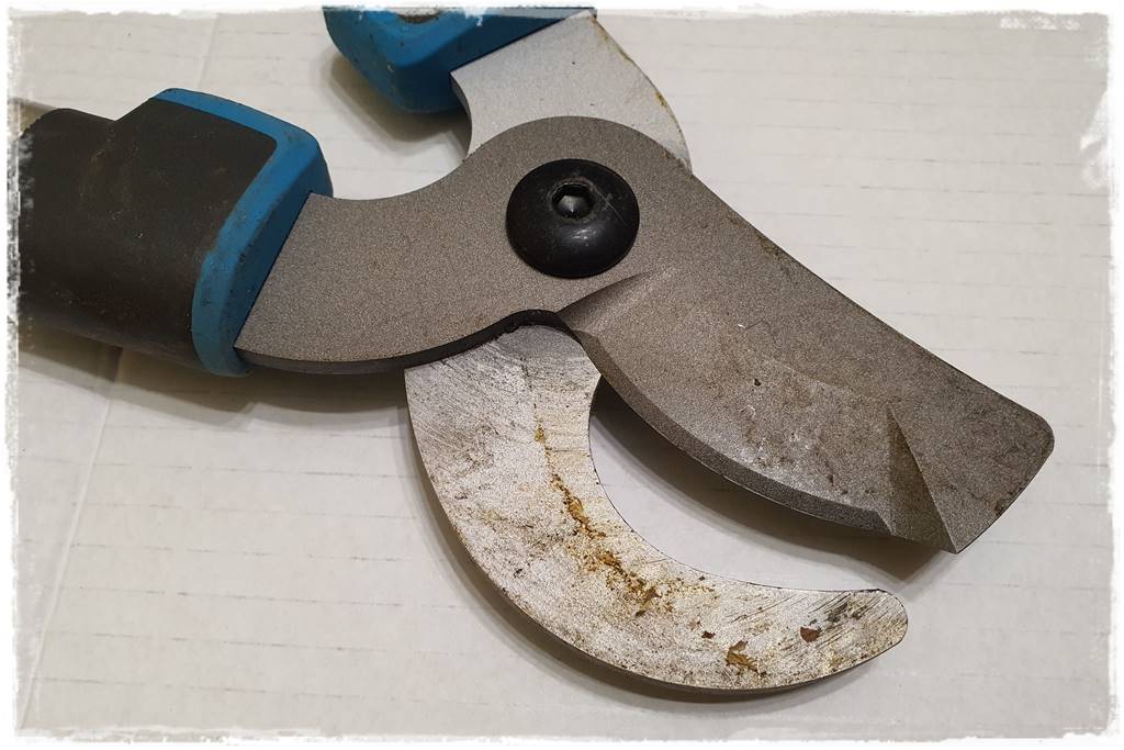 Jak wyczyścić i odkazić narzędzia ogrodnicze 2 Jak wyczyścić i odkazić narzędzia ogrodnicze 2