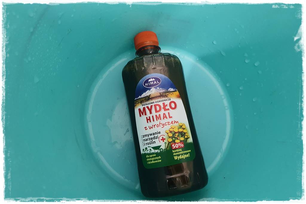 Jak wyczyścić i odkazić narzędzia ogrodnicze 20 Jak wyczyścić i odkazić narzędzia ogrodnicze 20