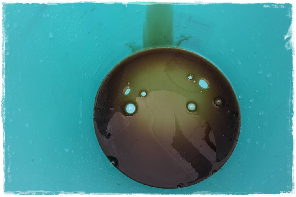 Jak wyczyścić i odkazić narzędzia ogrodnicze 21 Jak wyczyścić i odkazić narzędzia ogrodnicze 21