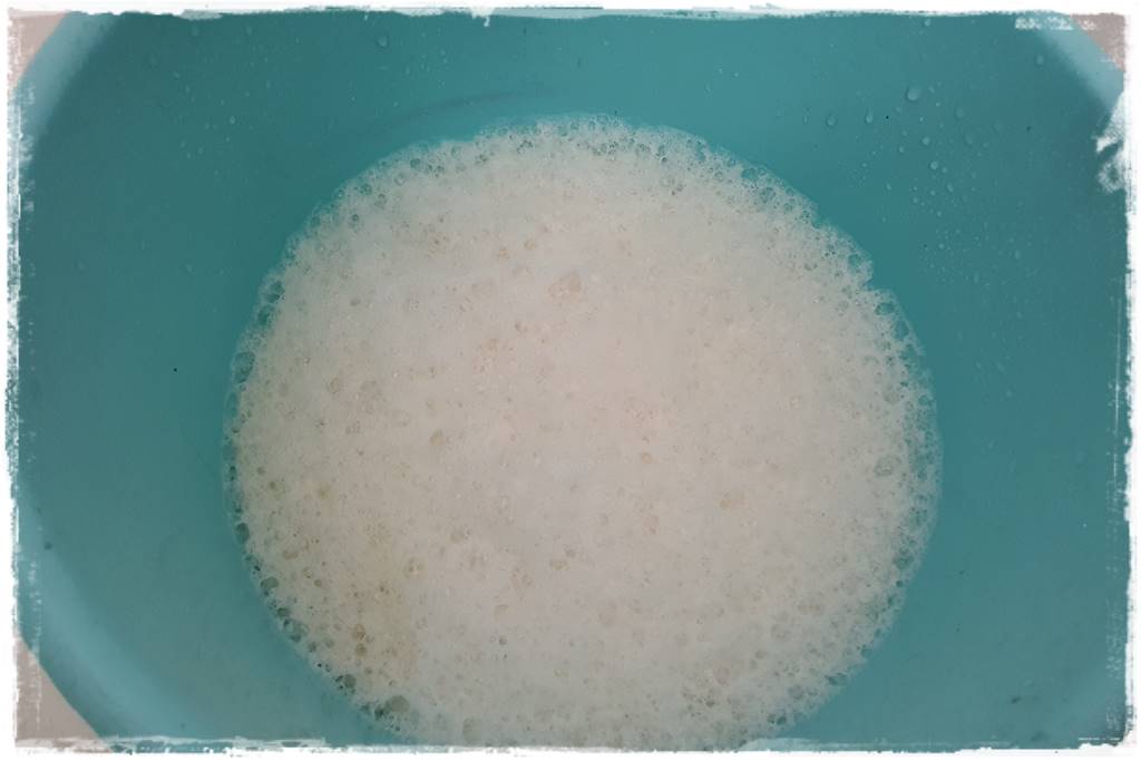 Jak wyczyścić i odkazić narzędzia ogrodnicze 22 Jak wyczyścić i odkazić narzędzia ogrodnicze 22