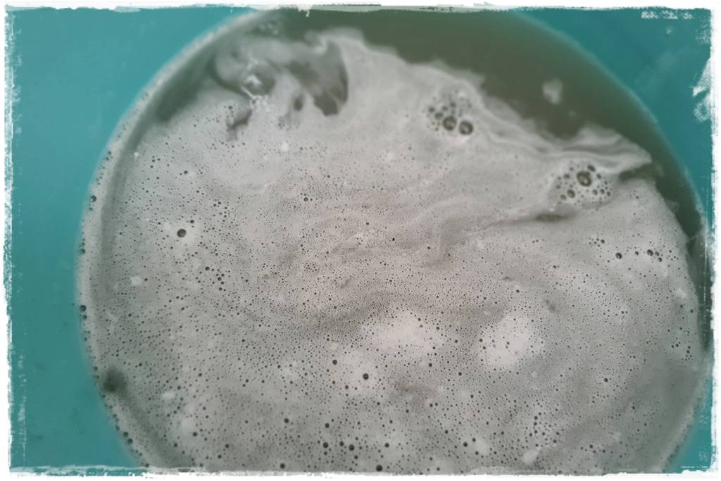 Jak wyczyścić i odkazić narzędzia ogrodnicze 23 Jak wyczyścić i odkazić narzędzia ogrodnicze 23