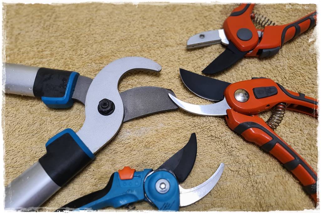 Jak wyczyścić i odkazić narzędzia ogrodnicze 27 Jak wyczyścić i odkazić narzędzia ogrodnicze 27