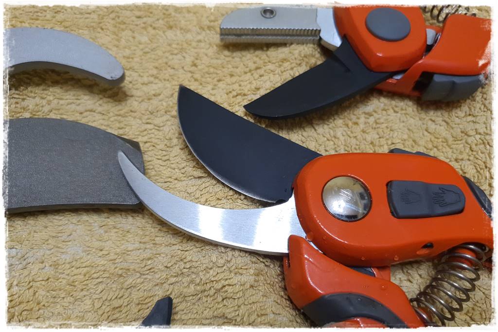 Jak wyczyścić i odkazić narzędzia ogrodnicze 28 Jak wyczyścić i odkazić narzędzia ogrodnicze 28