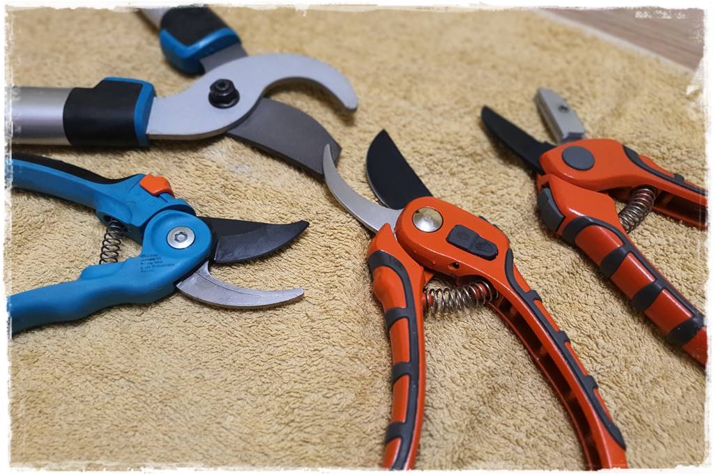 Jak wyczyścić i odkazić narzędzia ogrodnicze 29 Jak wyczyścić i odkazić narzędzia ogrodnicze 29