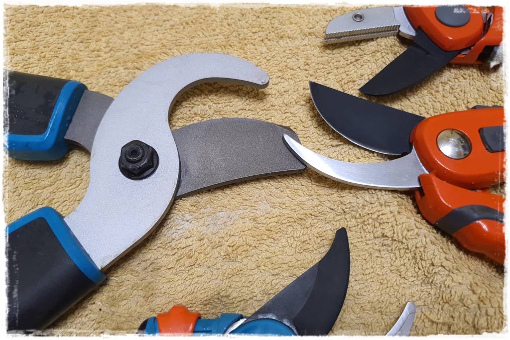 Jak wyczyścić i odkazić narzędzia ogrodnicze 30