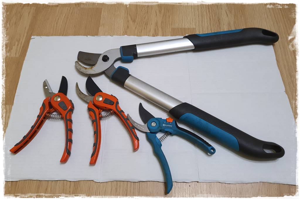 Jak wyczyścić i odkazić narzędzia ogrodnicze 4