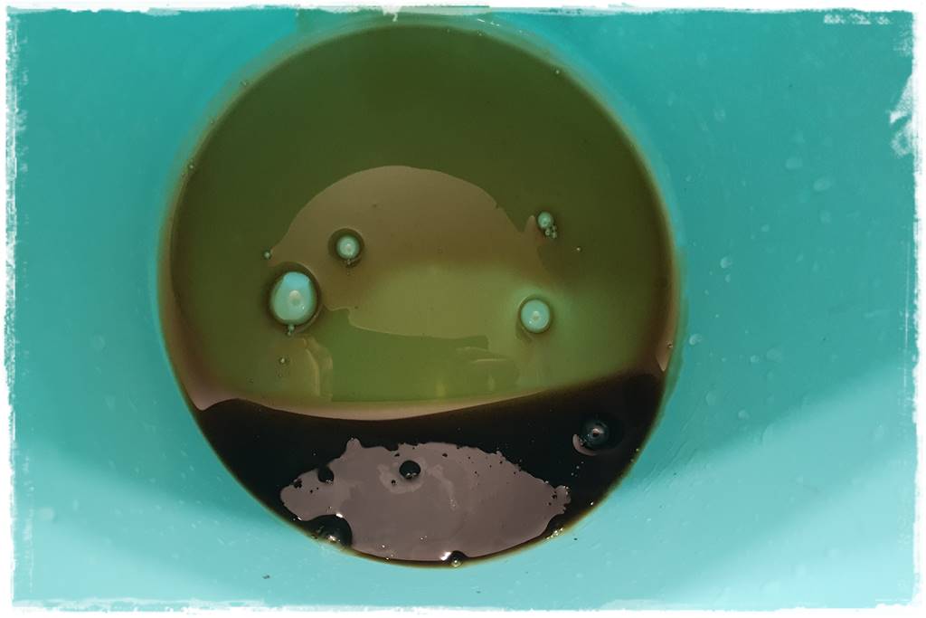 Jak wyczyścić i odkazić narzędzia ogrodnicze 5