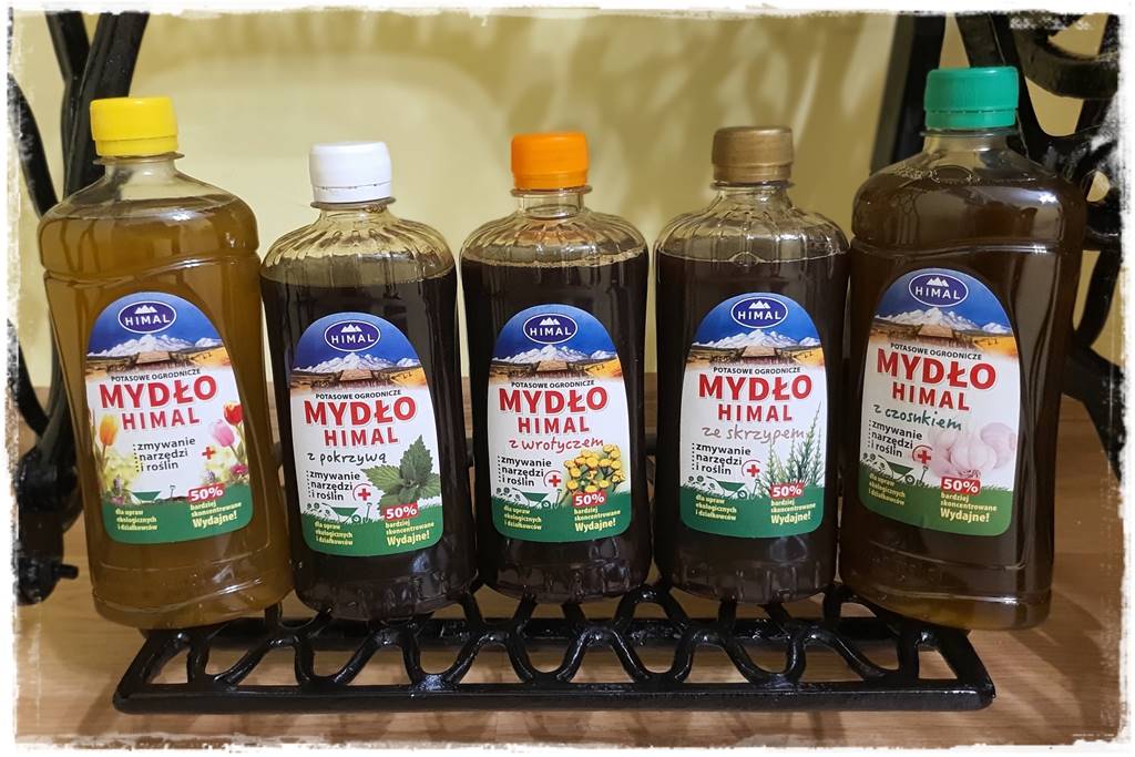 Jak wyczyścić i odkazić narzędzia ogrodnicze 6