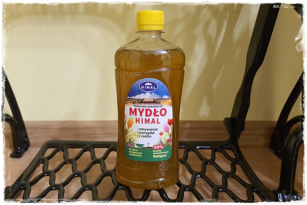 Jak wyczyścić i odkazić narzędzia ogrodnicze 8