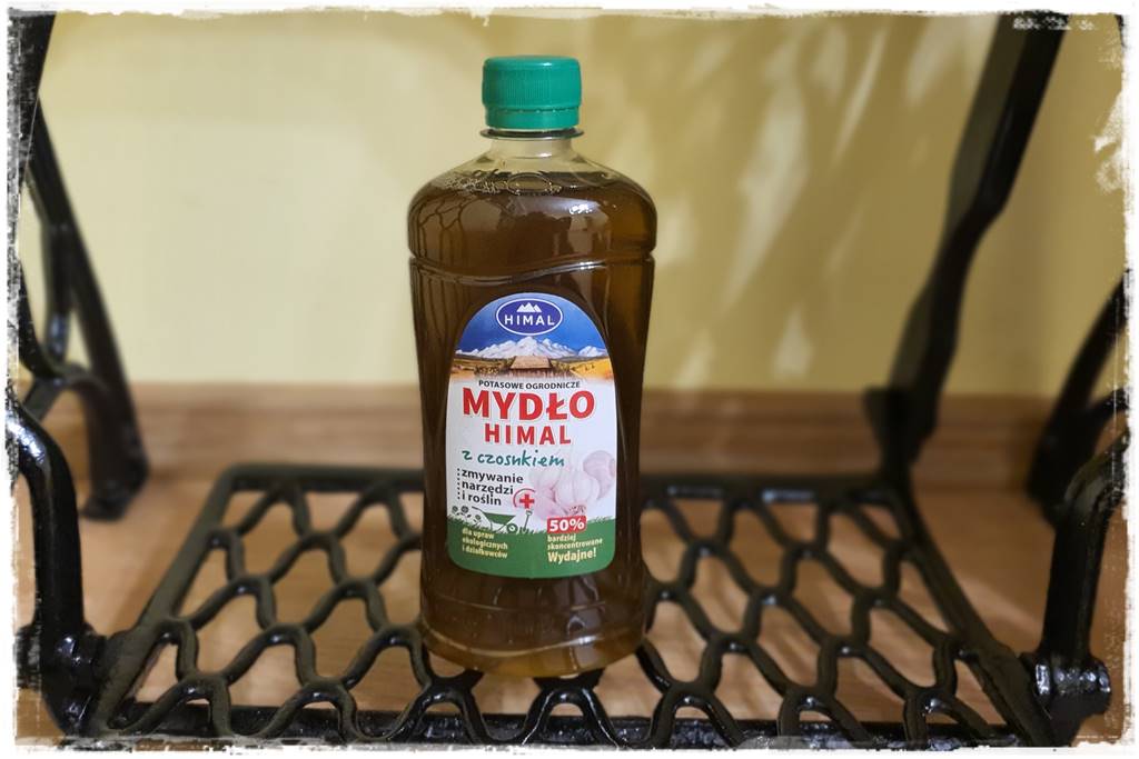 Jak wyczyścić i odkazić narzędzia ogrodnicze 9