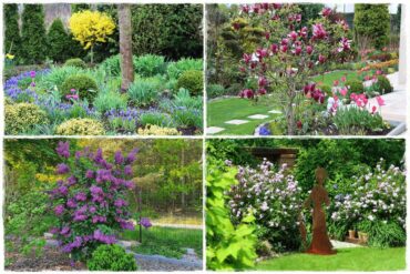 Krzewy kwitnące wiosną 0