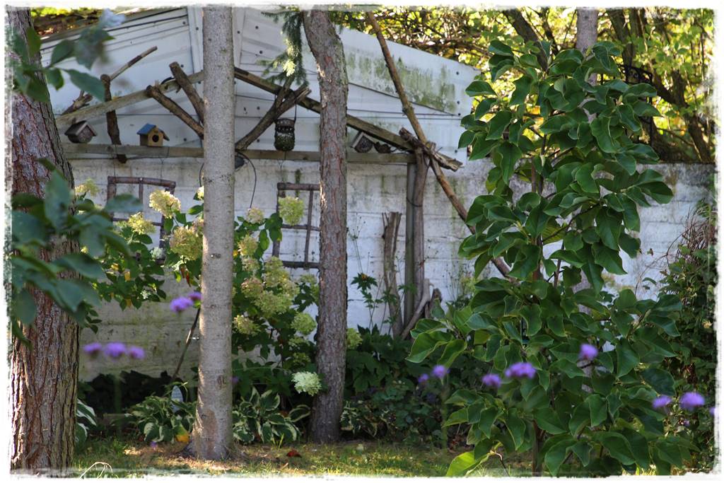 Krzewy kwitnące wiosną 5i Krzewy kwitnące wiosną 5i