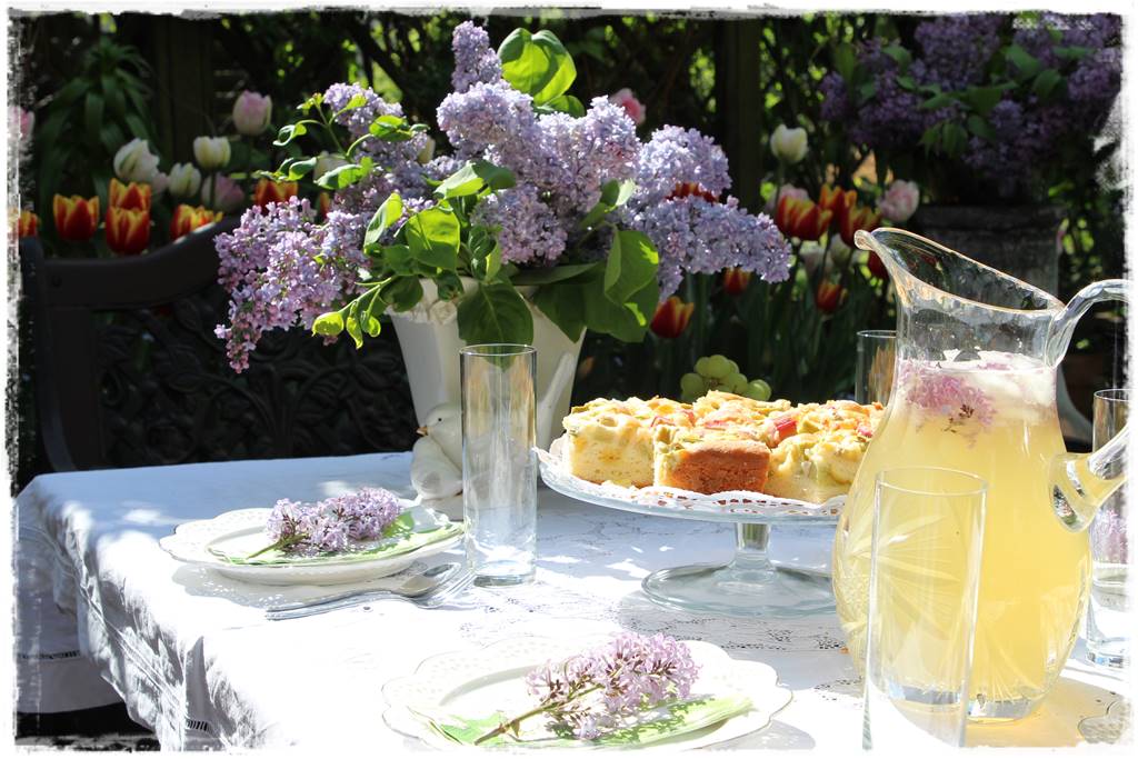 Krzewy kwitnące wiosną 6g Krzewy kwitnące wiosną 6g