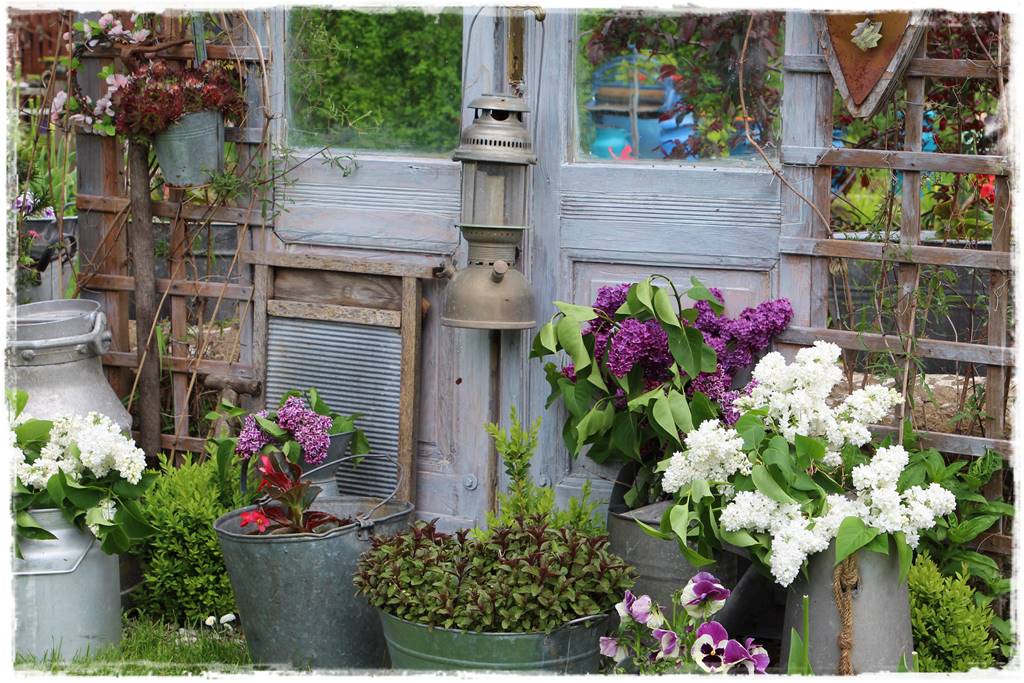 Krzewy kwitnące wiosną 6h Krzewy kwitnące wiosną 6h