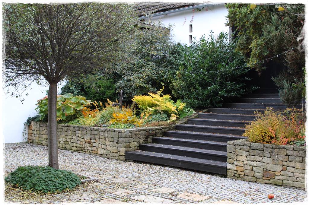 Laurowiśnia 11 Laurowiśnia 11