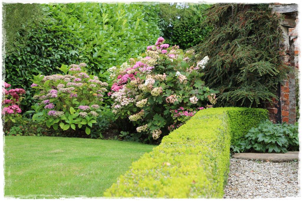 Laurowiśnia 15d Laurowiśnia 15d