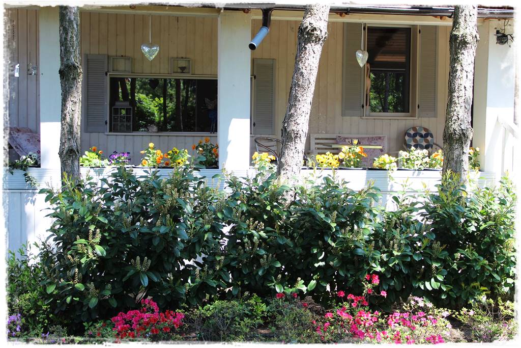 Laurowiśnia 16 Laurowiśnia 16