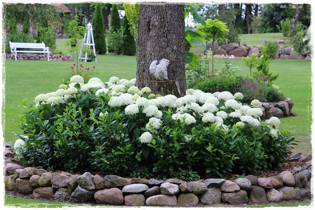 Laurowiśnia 16c Laurowiśnia 16c