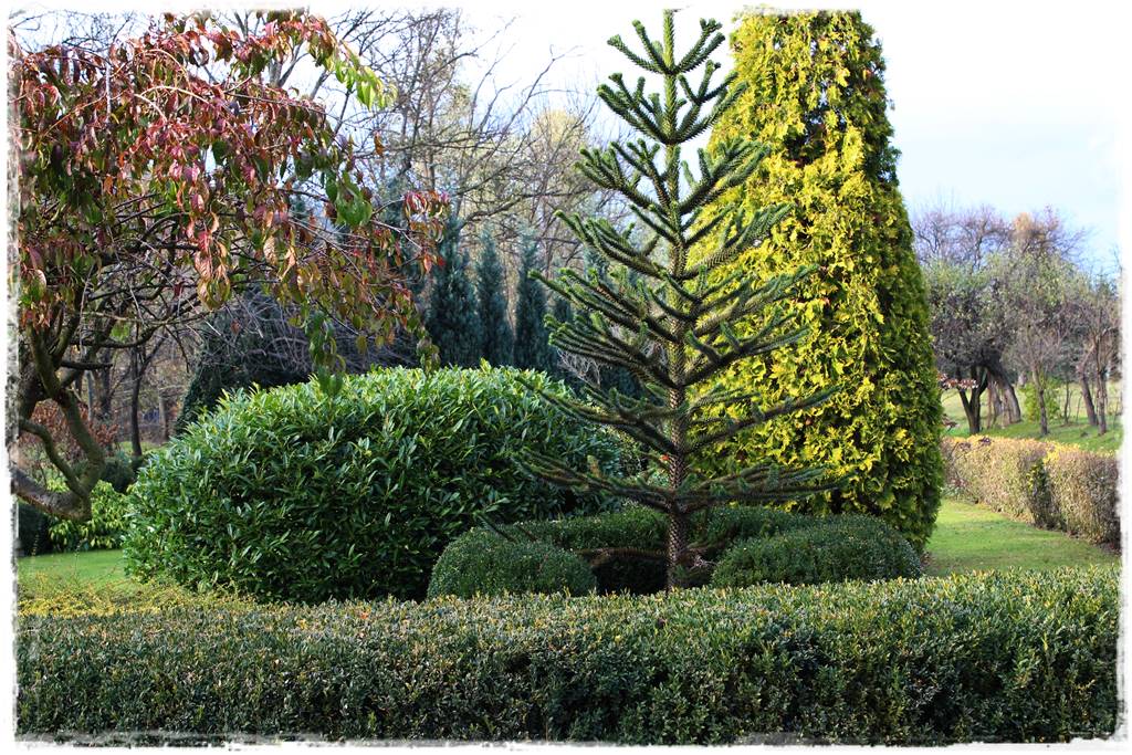 Laurowiśnia 17 Laurowiśnia 17