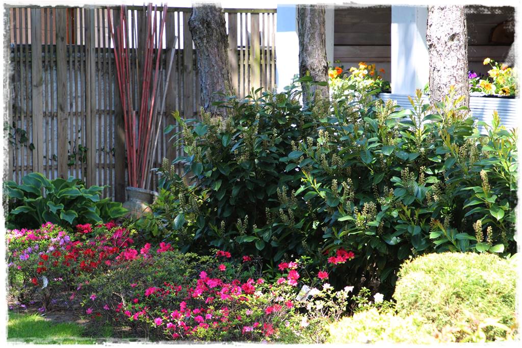 Laurowiśnia 1a Laurowiśnia 1a