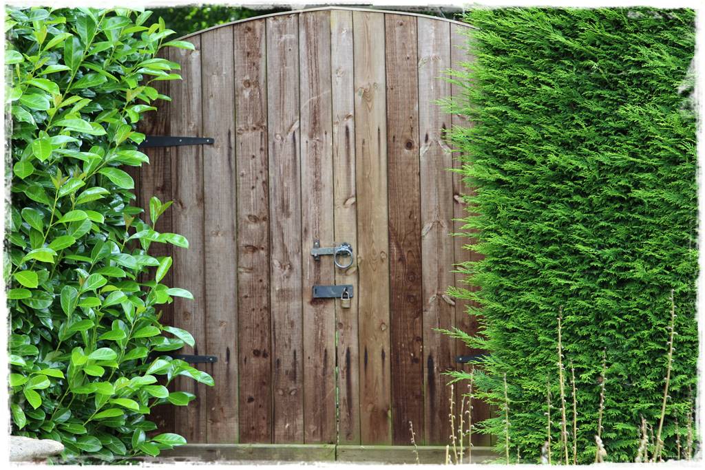 Laurowiśnia 1b Laurowiśnia 1b