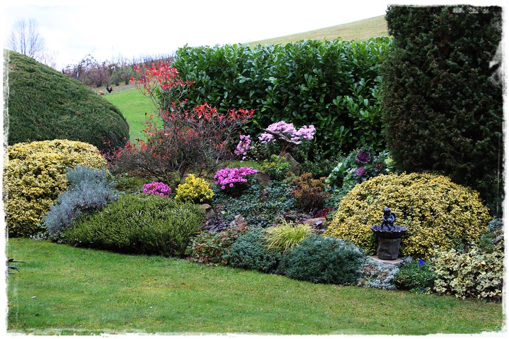 Laurowiśnia 1d Laurowiśnia 1d