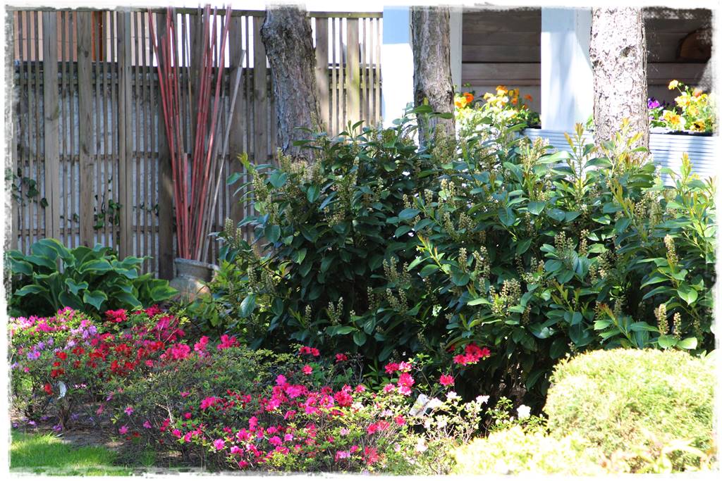 Laurowiśnia 9 Laurowiśnia 9