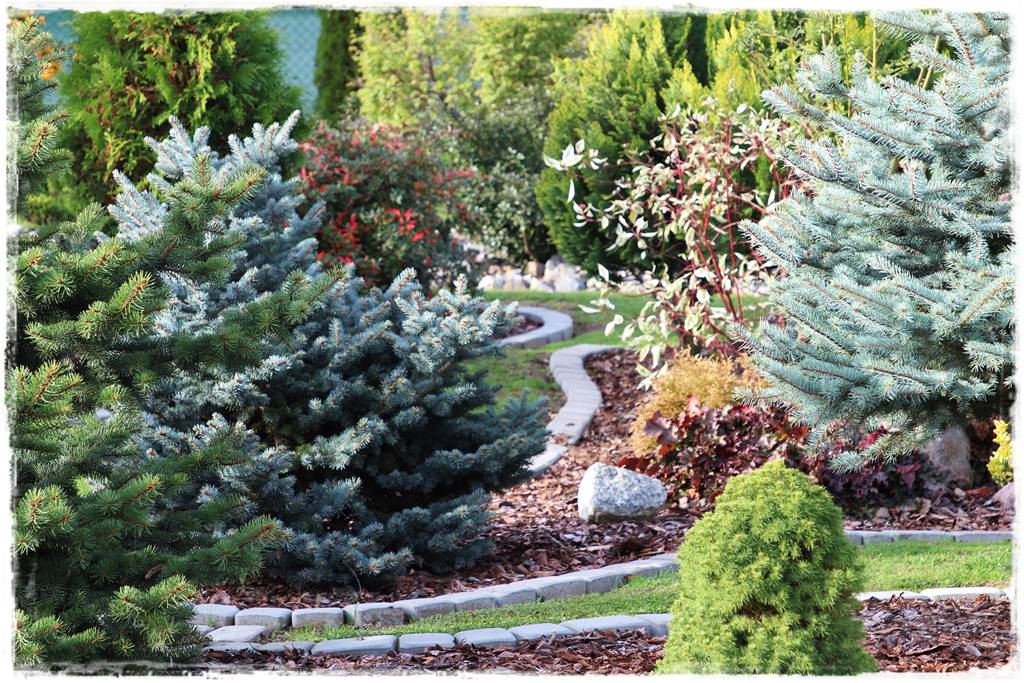 Obrzeża z kostki brukowej 11