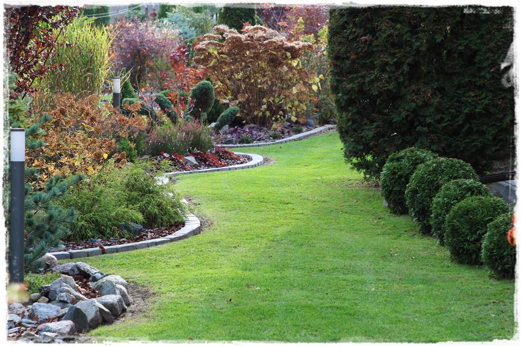 Obrzeża z kostki brukowej 11a