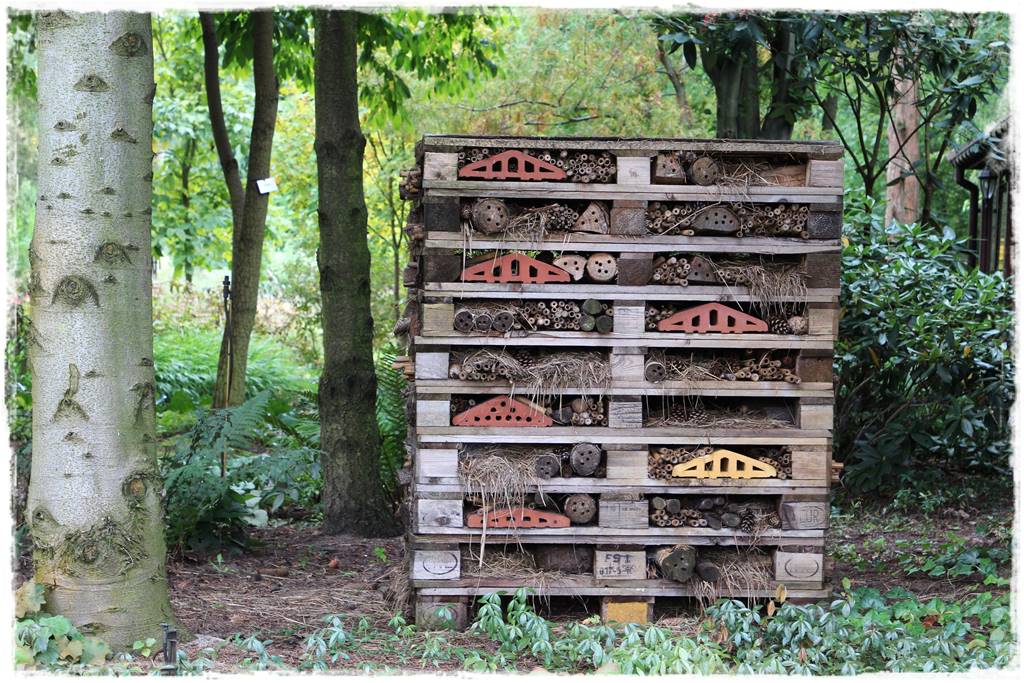 Recykling w ogrodzie 1d2