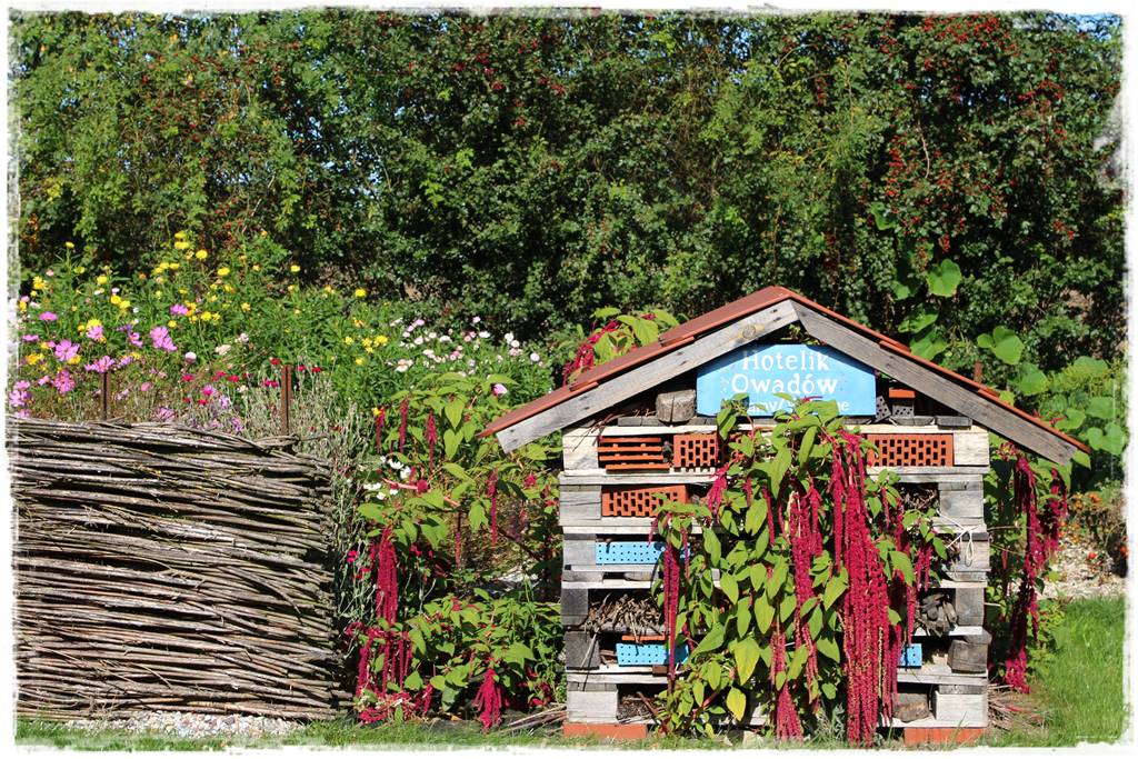 Recykling w ogrodzie 1e