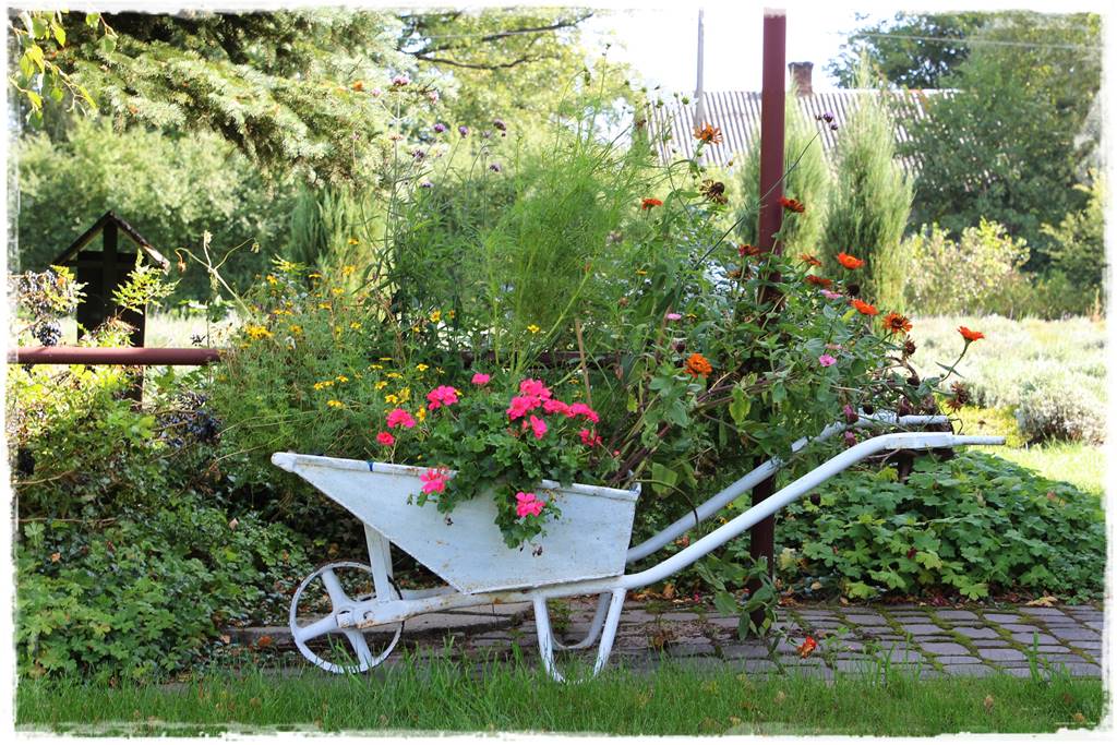 Recykling w ogrodzie 6d