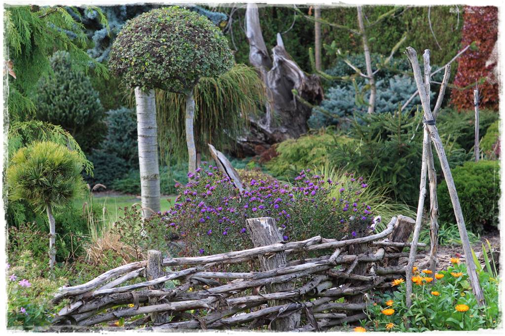 Recykling w ogrodzie 7d