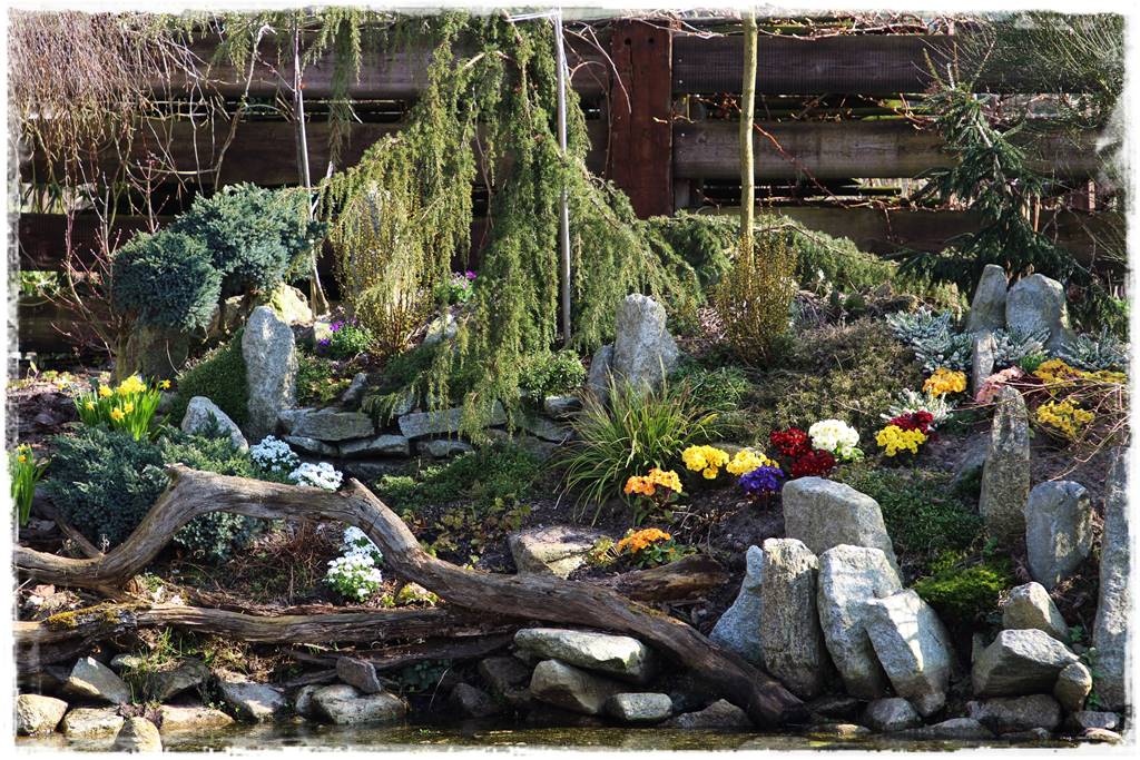 Wiosenne kwiaty aranżacje 1