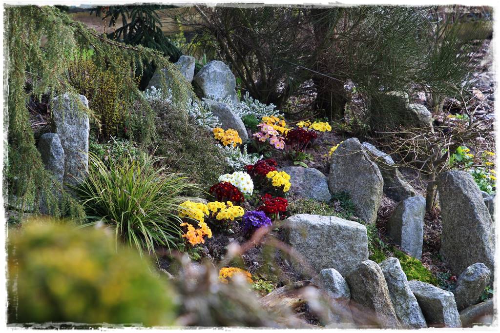 Wiosenne kwiaty aranżacje 1a