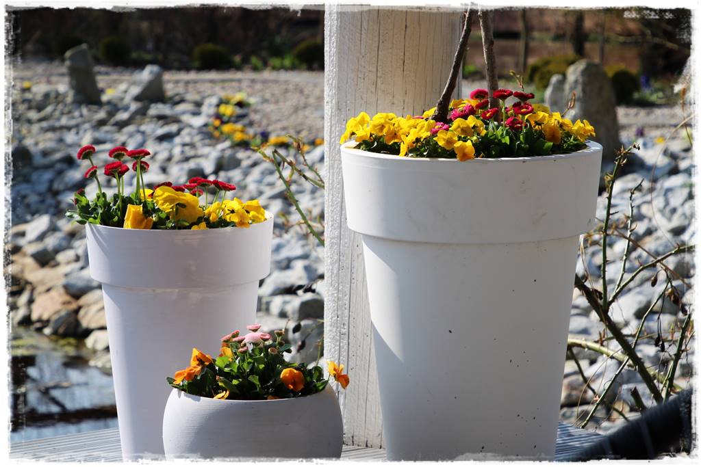 Wiosenne kwiaty aranżacje 1c