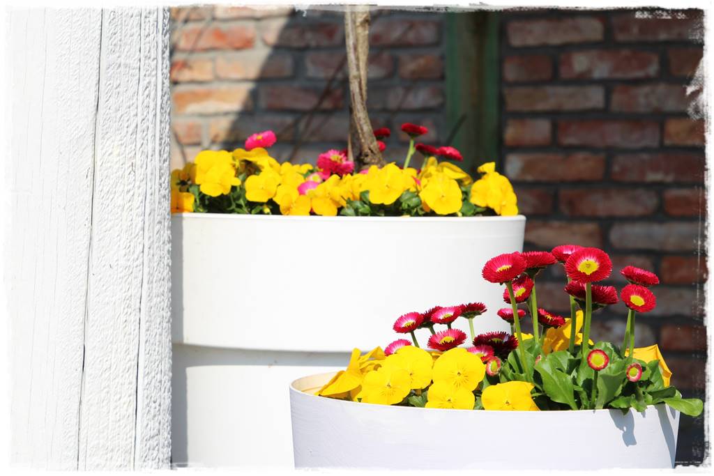 Wiosenne kwiaty aranżacje 1d