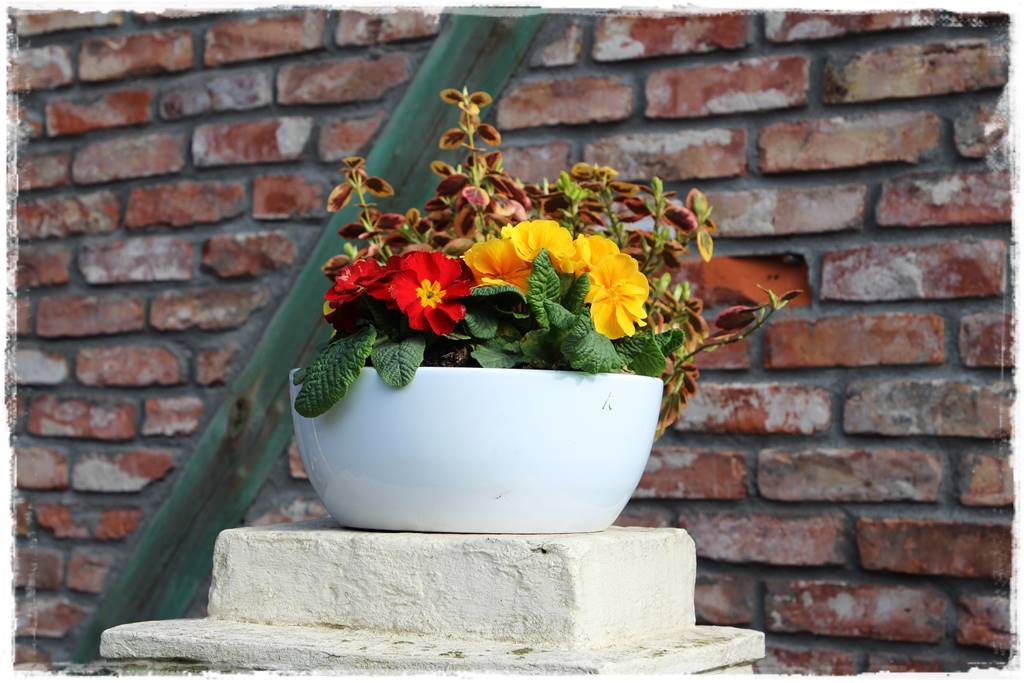 Wiosenne kwiaty aranżacje 1f