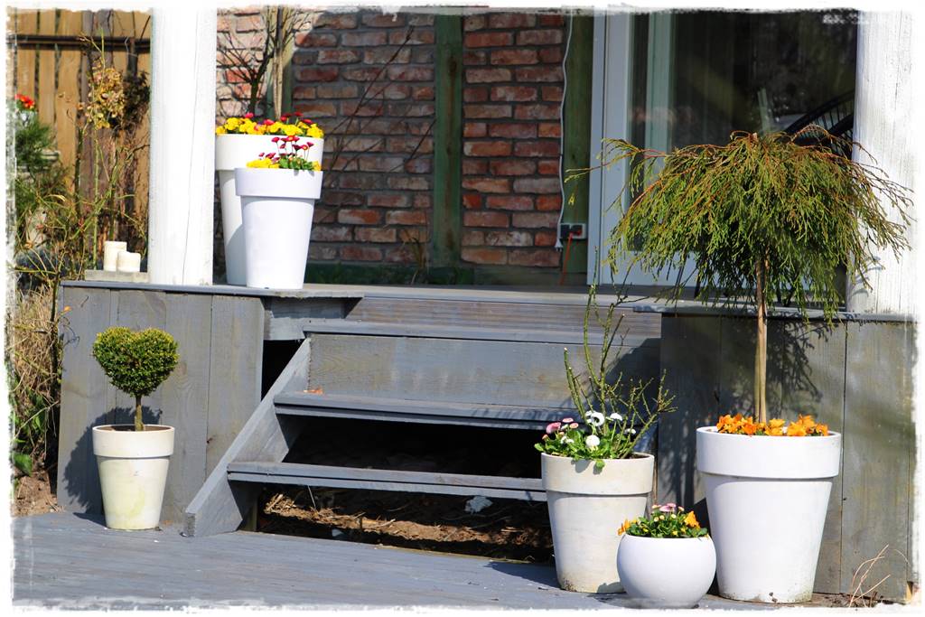 Wiosenne kwiaty aranżacje 1g