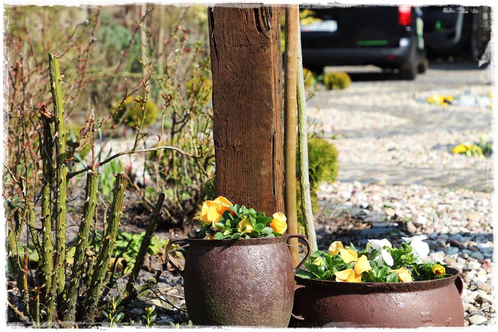 Wiosenne kwiaty aranżacje 1i